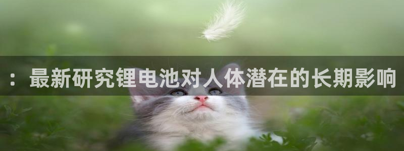 k豆钱包代付