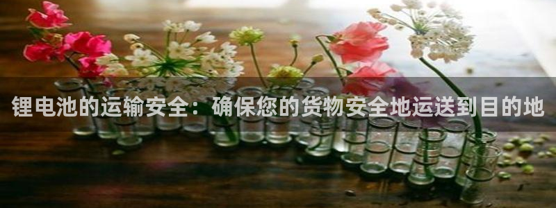 k豆钱包地址在哪看
