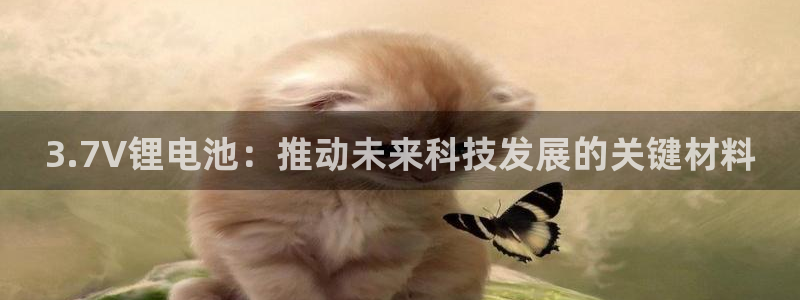 k豆pay钱包官网