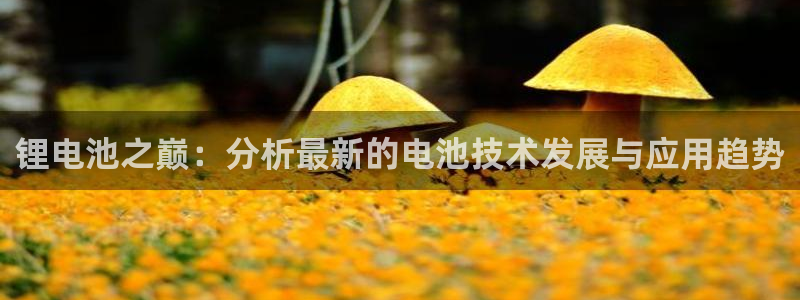 k豆钱包app