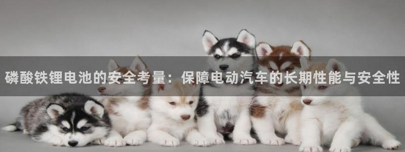 k豆钱包正确下载方式