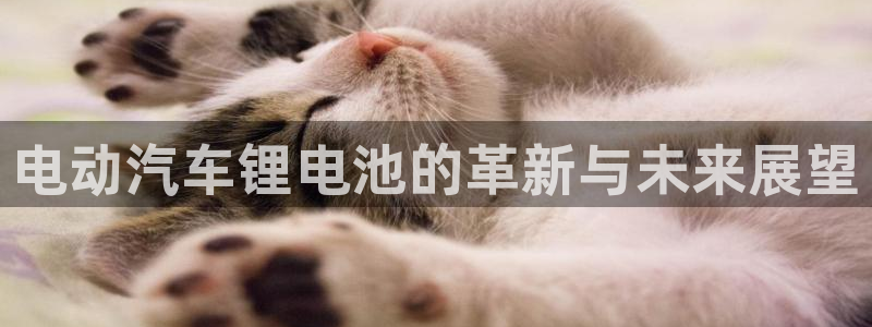 免费下载k豆钱包