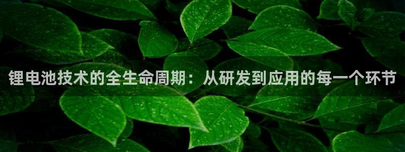 k豆钱包是啥