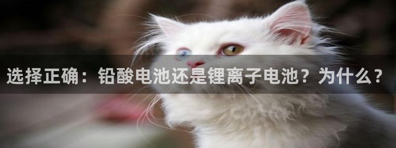 k 豆钱包已经