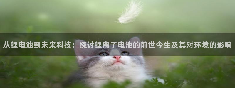 k豆钱包正规吗：从锂电池到未来科技：探讨锂离子电池的前世今生及其对环境的影响