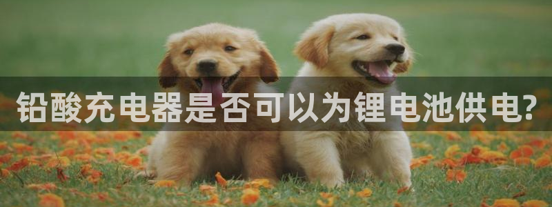 怎么下载k豆钱包app：铅酸充电器是否可以为锂电池供电?