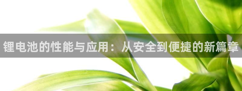 k豆钱包地址在哪看：锂电池的性能与应用：从安全到便捷的新篇章