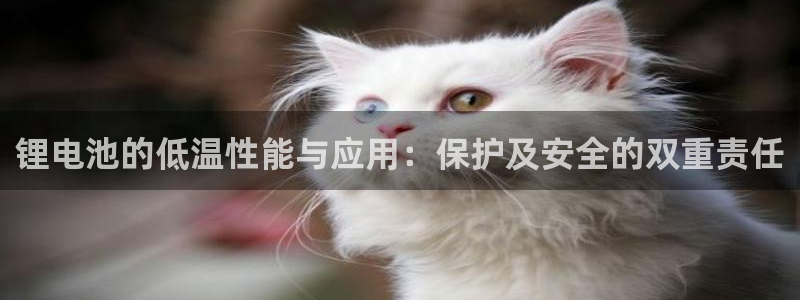 k豆支付钱包下载：锂电池的低温性能与应用：保护及安全的双重责任