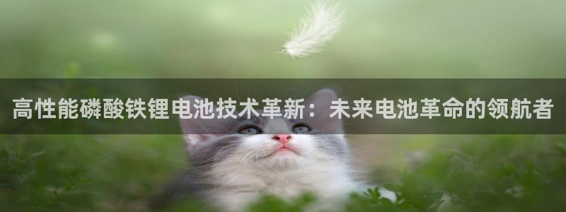 k豆钱包平台：高性能磷酸铁锂电池技术革新：未来电池革命的领航者