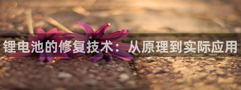k豆钱包在哪里下载：锂电池的修复技术：从原理到实际应用