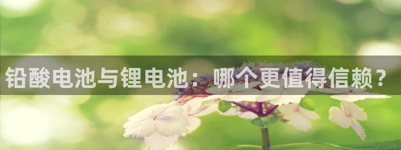k豆钱包和kdpay是一样的吗：铅酸电池与锂电池：哪个更值得信赖？