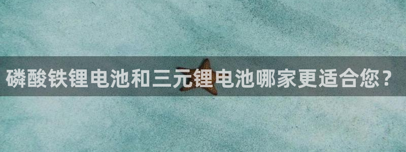 k豆钱包安全吗：磷酸铁锂电池和三元锂电池哪家更适合您？
