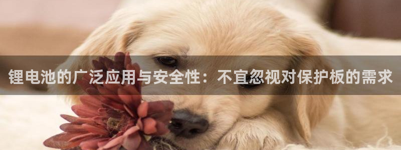 365k豆钱包：锂电池的广泛应用与安全性：不宜忽视对保护板的需求