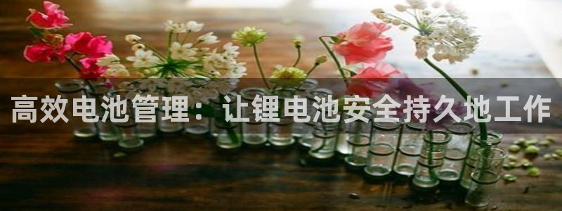 k豆钱包支付：高效电池管理：让锂电池安全持久地工作