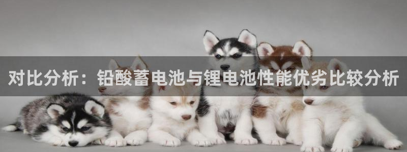 k豆钱包下载苹果：对比分析：铅酸蓄电池与锂电池性能优劣比较分析