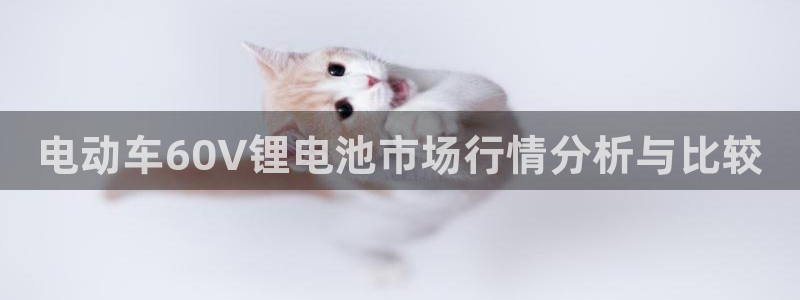 k豆钱包直接下载最新版k豆钱包：电动车60V锂电池市场行情分析与比较