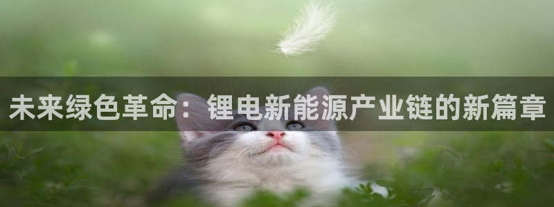 k豆钱包卖豆太难了：未来绿色革命：锂电新能源产业链的新篇章