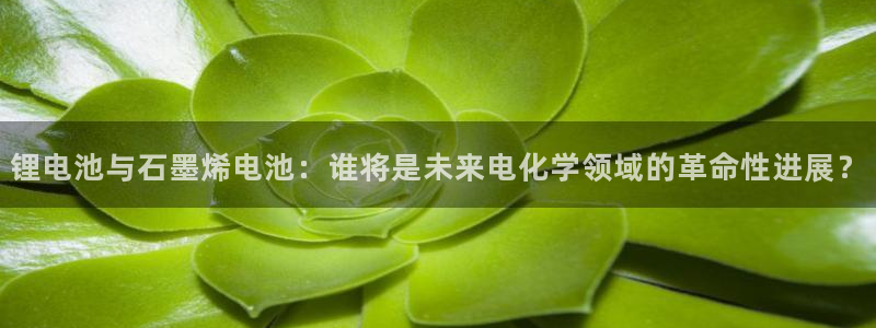 k豆钱包下载官网：锂电池与石墨烯电池：谁将是未来电化学领域的革命性进展？
