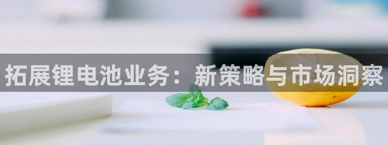 k豆钱包苹果下载：拓展锂电池业务：新策略与市场洞察