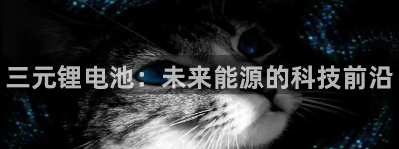 k豆钱包安卓版下载