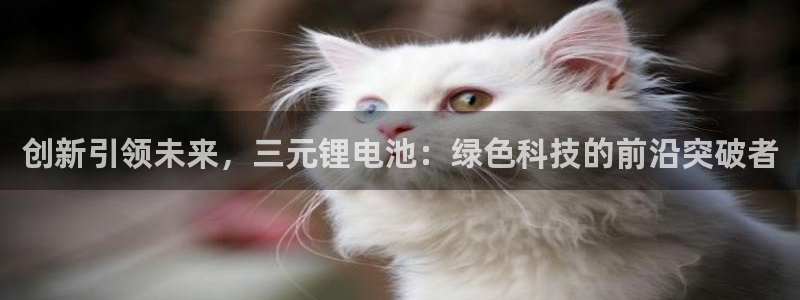下载k豆钱包安装到手机：创新引领未来，三元锂电池：绿色科技的前沿突破者