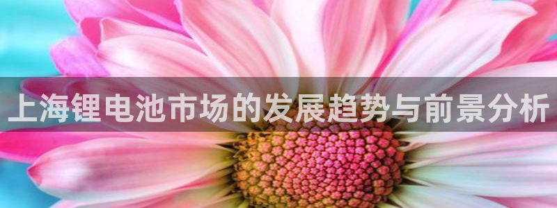 k豆钱包邀请码：上海锂电池市场的发展趋势与前景分析