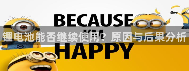 k豆钱包的豆可以互转吗：锂电池能否继续使用？原因与后果分析