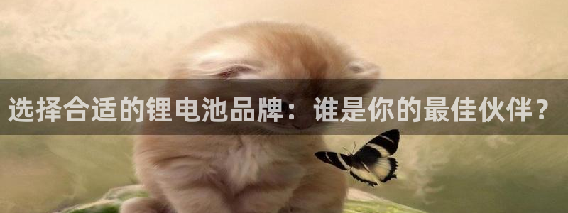 365钱包k豆钱包：选择合适的锂电池品牌