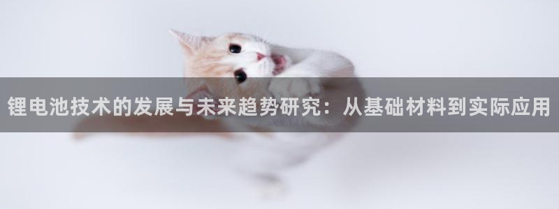 k豆钱包怎么提现到微信：锂电池技术的发展