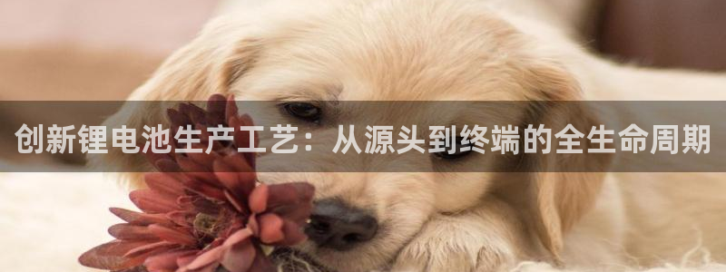 k豆钱包ios下载地址：创新锂电池生产工